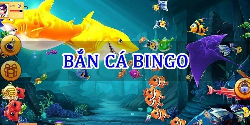 Bắn cá Bingo được nhiều người lựa chọn bởi nhiều tính năng đặc biệt.