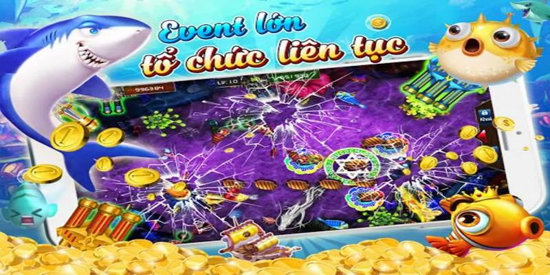 Thường xuyên tập luyện để lên cơ săn cá Bingo